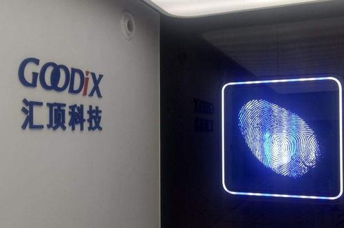 汇顶科技最新爆料视频,揭秘未来科技发展趋势